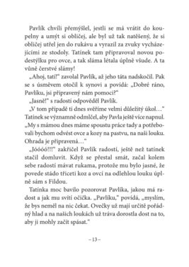 Andrej Lukonchik: Za humny je skřítek - Image 4
