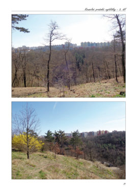 Kouzelné pražské vyhlídky – 3. díl - Image 4