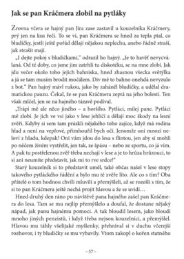 Arnošt Vít: Kráčmera, kouzelník kunratický - Image 7
