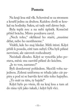 Slávek Anft: Na krabici - Image 6