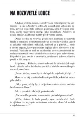 Ležela kočka s andělem - Image 2