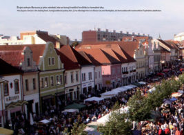 Malá monografie města Beroun - Image 2