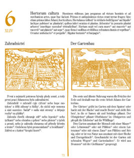 Jan Amos Komenský: Orbis sensualium pictus - Image 5