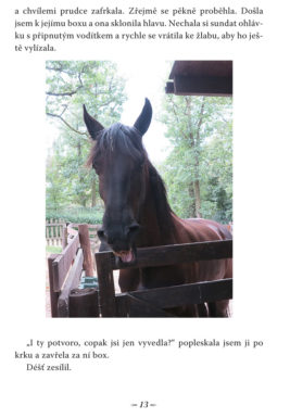 Martina Kovářová: Příběhy z Mniší hory - Image 4