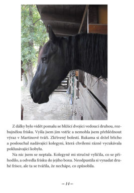 Martina Kovářová: Příběhy z Mniší hory - Image 5
