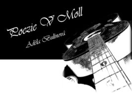 Adéla Bulínová: Poezie v moll