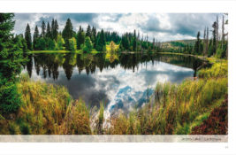 Petr Moravec: Šumava poetická a kouzelná | Der Böhmerwald seine Poesie und Magie - Image 3