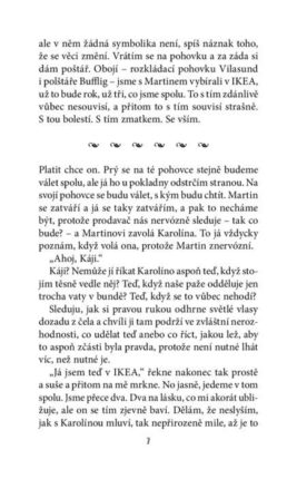 Radka Třeštíková: Bábovky - Image 4