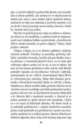 Radka Třeštíková: Bábovky - Image 7