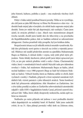 John Nixon: Saddám Husajn: Výslech - Image 3