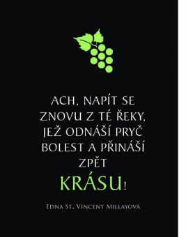 Na skleničku vína je vždycky čas - Image 7