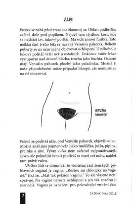 Zázrak tam dole – Vše, co potřebujete vědět o ženském podbřišku - Image 3