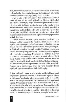 Zázrak tam dole – Vše, co potřebujete vědět o ženském podbřišku - Image 5