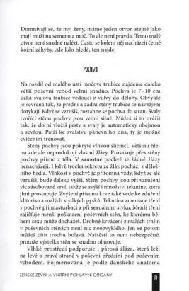 Zázrak tam dole – Vše, co potřebujete vědět o ženském podbřišku - Image 6