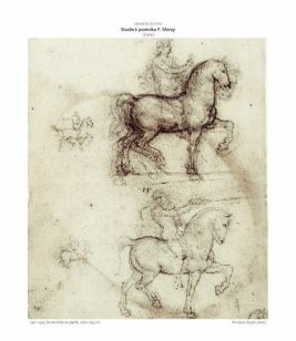 Leonardo da Vinci | Život, osobnost a dílo - Image 5