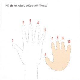 Má první knížka čísel - Image 3