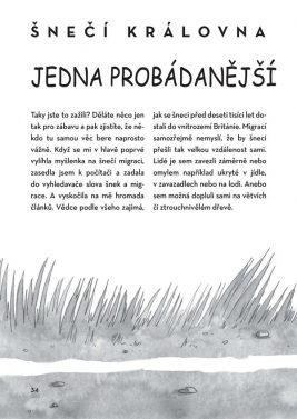 Nejpomalejší kniha na světě - Image 3