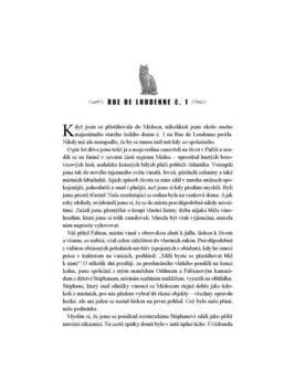 Francouzská venkovská kuchyně - Image 3