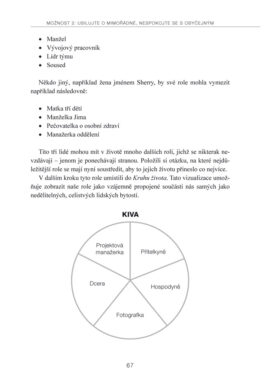 Pět možností. Cesta k mimořádné produktivitě - Image 6