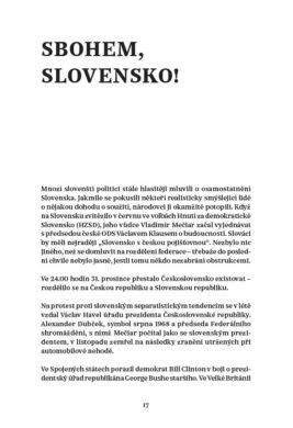 Karel Pacner: Čtvrtstoletí republiky - Image 2