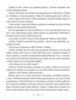 Málodobrej: Trnovec a skřítci - Image 5